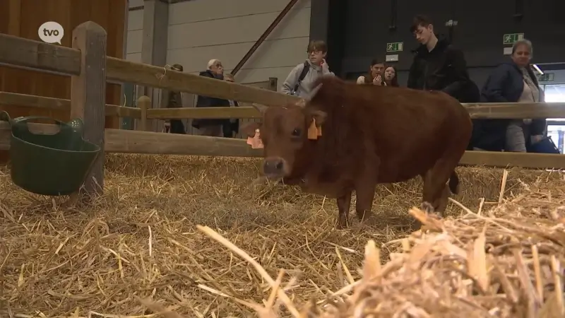 Jonge landbouwers verkennen toekomst op grootste landbouwbeurs van Vlaanderen in Gent