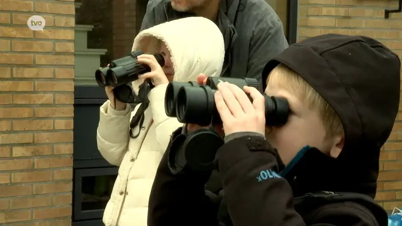 Aantal vogels in Vlaanderen blijft dalen, blijkt uit telling Natuurpunt