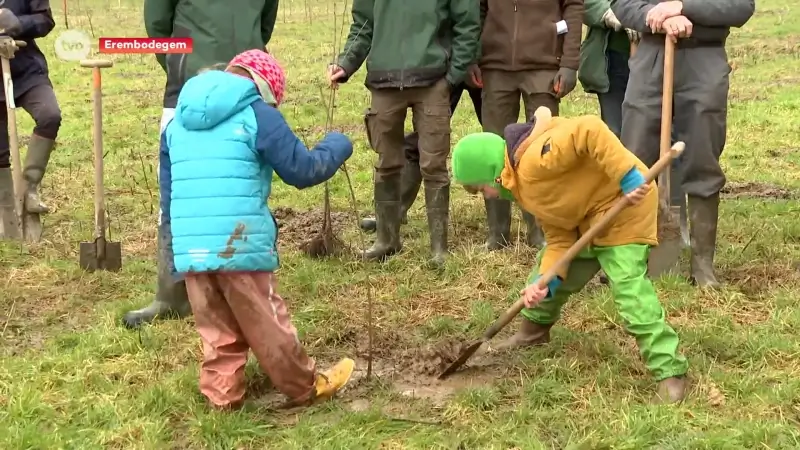 Al 55 hectare nieuw bos in onze provincie dankzij bebossingsproject BOOST