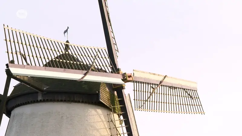 Vlaamse overheid investeert meer dan 100.000 euro in molen Ter Rijst in Herzele