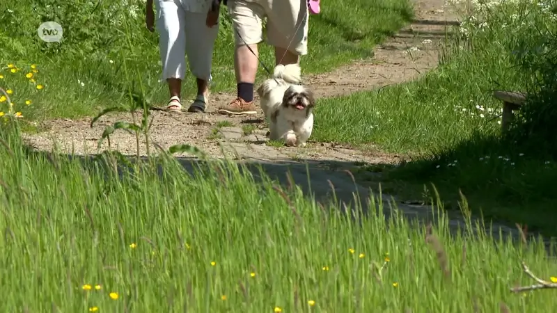 Agentschap voor Natuur en Bos houdt komende twee weekends controles op loslopende honden