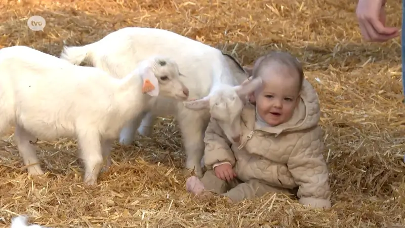 Alleen maar gelukkige gezichten op lammetjesknuffeldagen op kaasboerderij in Zele