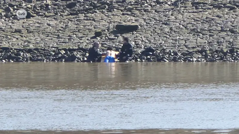 Brandweer moet man uit Schelde redden die het al te warm had gekregen