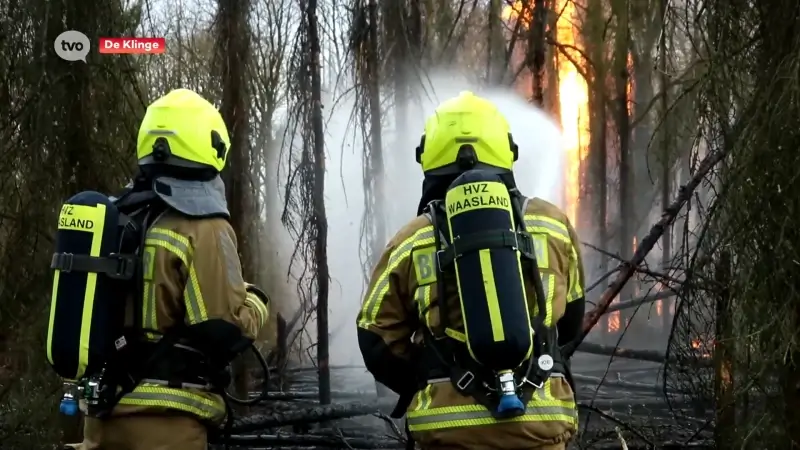 Hevige brand legt Clingse bossen in de as, vlakbij De Klinge, wandelaars geëvacueerd