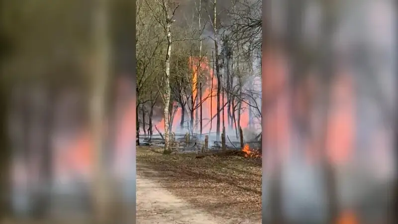 Hevige brand in bos vlakbij De Klinge, gemeentelijk rampenplan afgekondigd