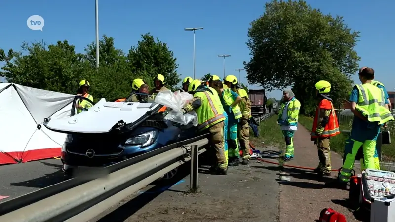 Bestuurster zwaargewond na aanrijding door remmanoeuvre voor overstekend dier op N16