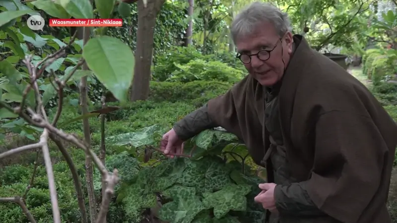 Bloemsierkunstenaar Daniël Ost wordt 70, wereldberoemd tot in China en Japan