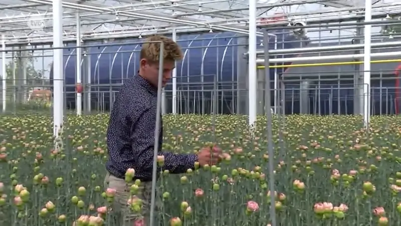 Meer jonge landbouwers zetten de stap naar een eigen landbouwbedrijf