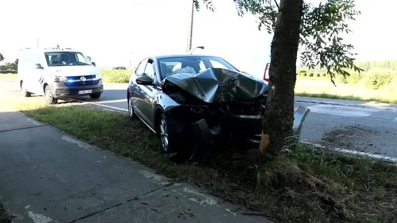 Zwaargewond na frontale botsing met auto tegen boom in Vrasene