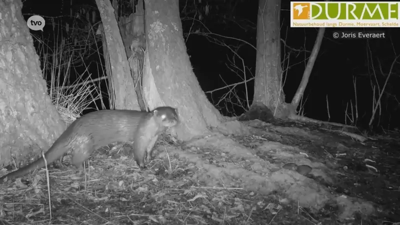 Olga de Otter kiest voor de natuur van Donkmeer en Molsbroek: "Toont aan dat de natuur hier in zeer goede doen is"