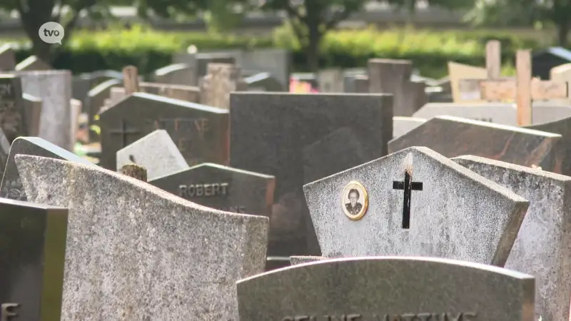 As van huisdier mag mee met eigenaar begraven worden in Denderleeuw