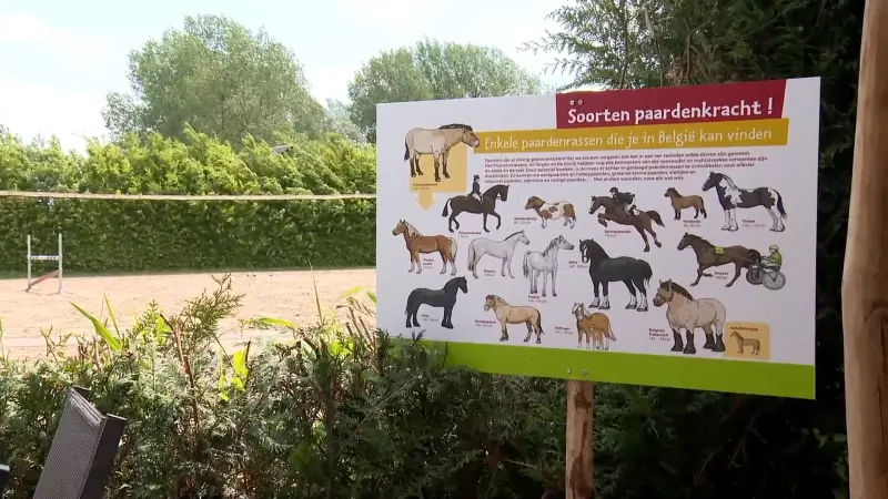 Nieuwe beleefboerderij en fokkerij opent de deuren in Belsele