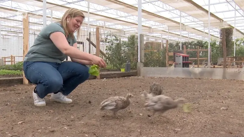 Indoor pluk- en beleefboerderij van ruim 4.500 vierkante meter groot opent in Sint-Niklaas