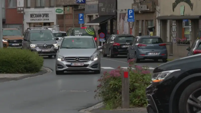 Politie Ninove betrapt illegale slachters op heterdaad, vier schapen gered