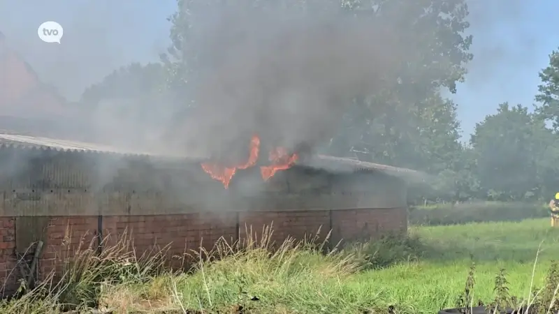 Hooischuur en oude stal volledig vernield door uitslaande brand in Vrasene