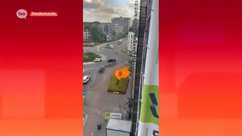 Bloemenperk aan rotonde vat vuur in Dendermonde, sigaret vermoedelijk boosdoener