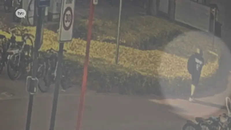 Bewakingsbeelden bevestigen: weggegooide sigaret is oorzaak van brand grasperk in Dendermonde