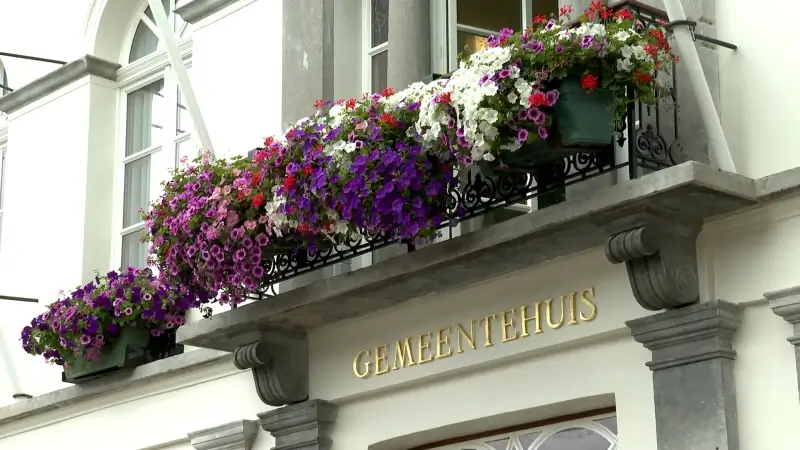 In het centrum van Hamme pronkt een gerestaureerd gemeentehuis