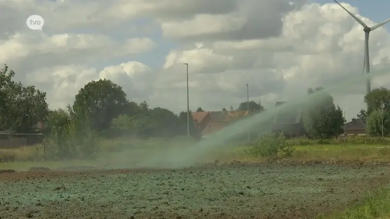 Proefproject hennep als duurzame sanering van PFAS-vervuilde gronden in Sint-Gillis-Waas