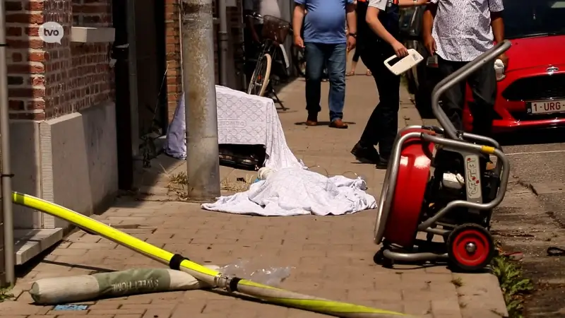 Drie honden en twee katten komen om het leven bij woningbrand in Temse