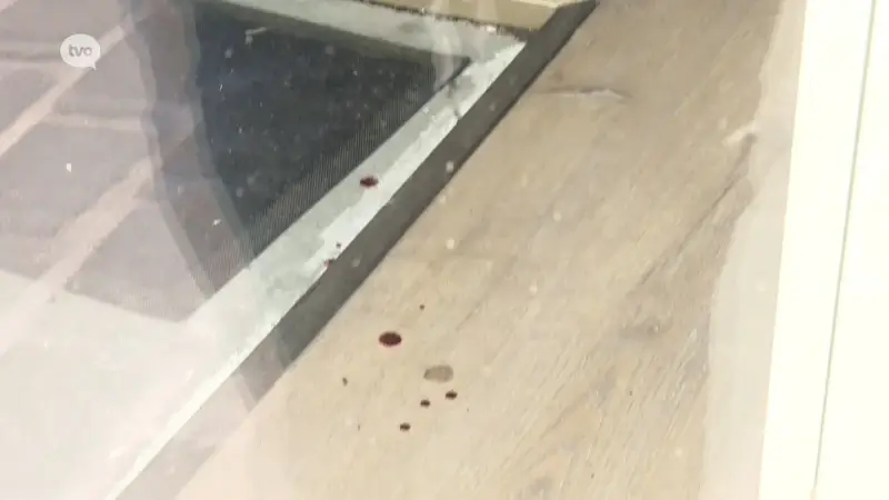 Twee mannen blijven aangehouden na steekpartij in centrum Aalst, burgemeester wil veiligheidsoverleg