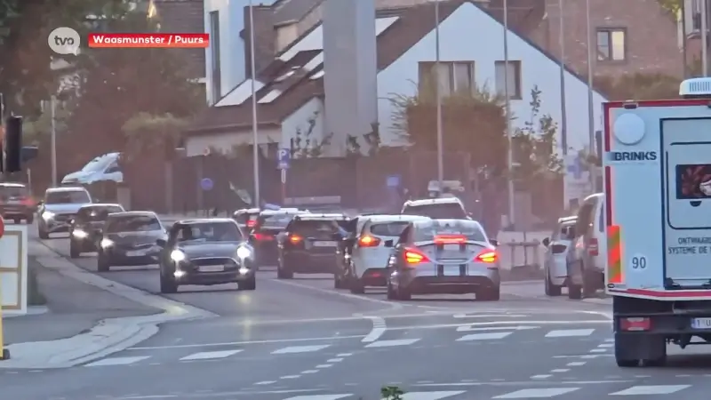 Zeven rijbewijzen ingetrokken na illegale trouwstoet, die start in Waasmunster: "Politiereglement is duidelijk: dit mag niet"