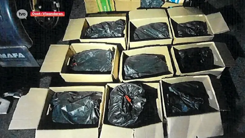 Internationale drugsbende opgepakt dankzij samenwerking tussen België, Nederland, het Verenigd Koninkrijk en Europol