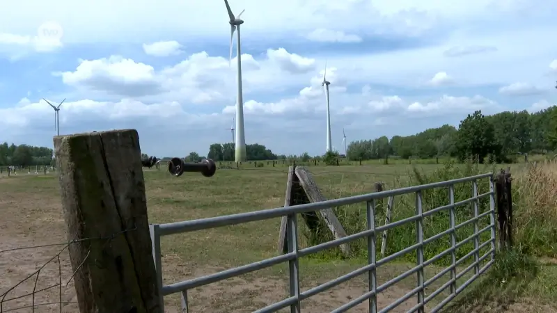 Paard met moeraskoorts in Lokeren geëuthanaseerd, 65 andere paarden in quarantaine