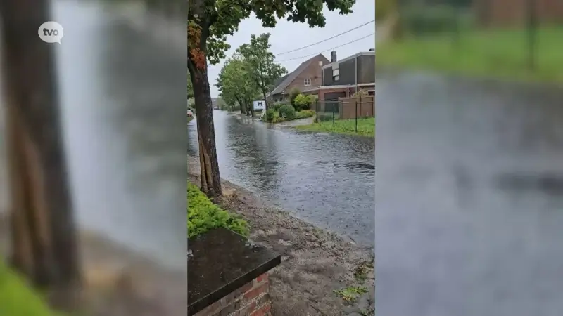 Wateroverlast in Buggenhout: verschillende straten blank na hevige regenbui