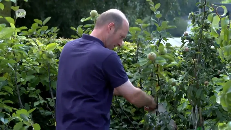 Fruitbomen- en plantenverkoper uit Geraardsbergen twee keer bestolen op vier dagen tijd