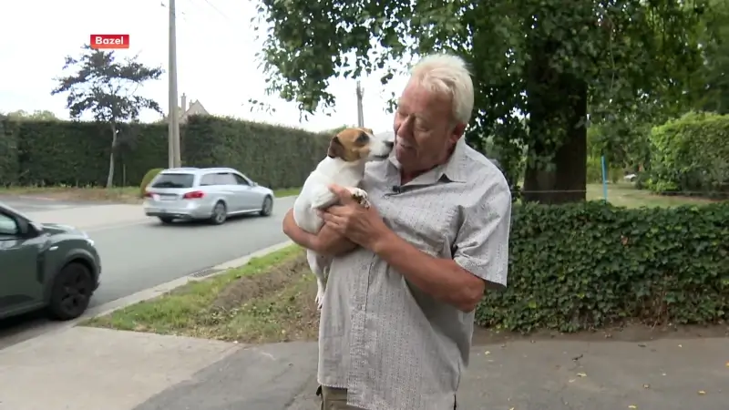 Jack Russel Skippy gestolen bij Jan in Bazel, maar tijdens interview duikt hij plots op