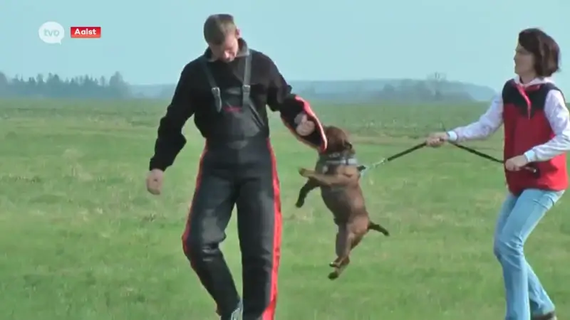 Hond moet geëuthanaseerd worden na bijtincident: "Een hondengeleider of burger met speciale hondenskills kan er niet mee overweg"