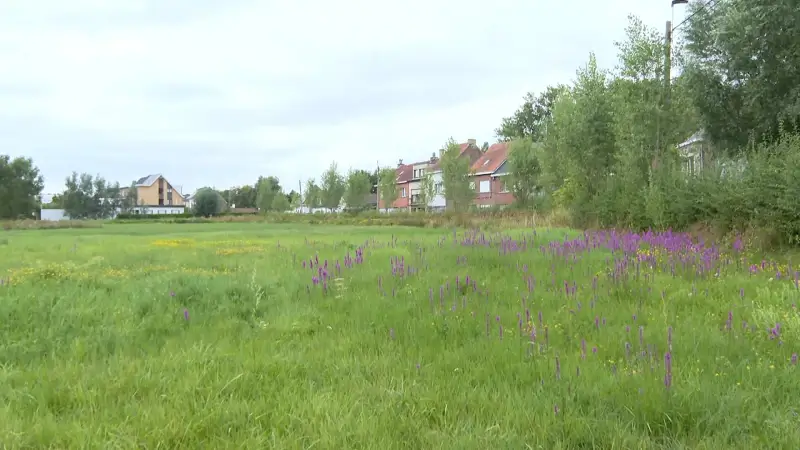 Provincie breidt oppompverbod al voor derde keer uit: verbod geldt nu in 67 zones