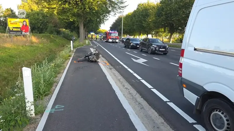 41-jarige bestuurster overleeft frontale klap tegen boom niet in Ninove
