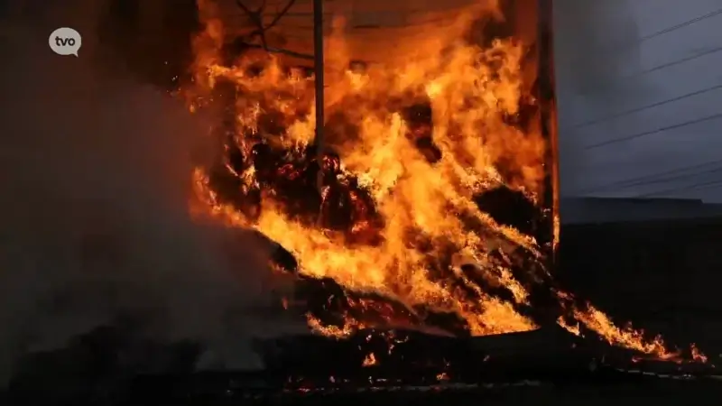 100 brandweermannen bestrijden stalbrand in Haasdonk, paar tiental runderen overleeft inferno niet: "Een drama voor deze zeer gedreven landbouwers"