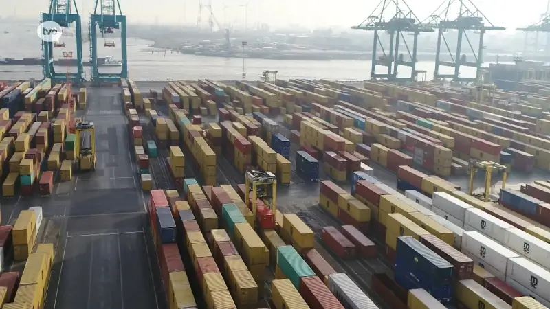 1,2 ton cocaïne onderschept in Waaslandhaven, steeds meer minderjarigen worden ingezet om drugs uit te halen