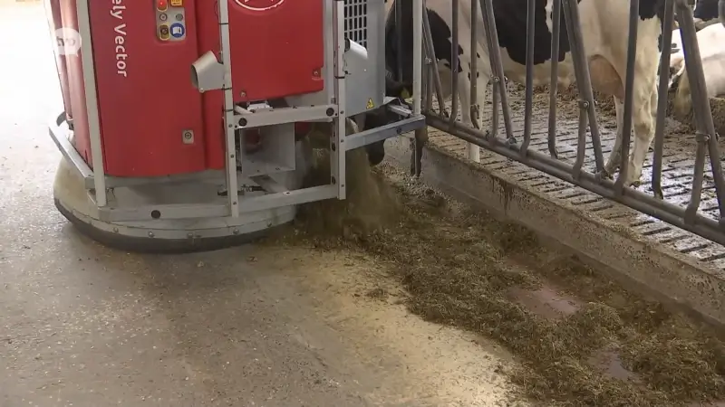 AI op de boerderij: hoe technologie boer én koe vooruithelpt