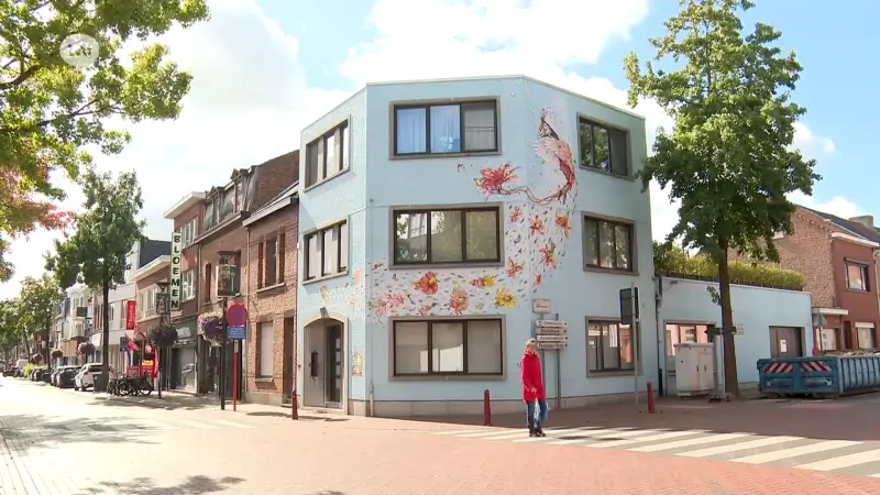 Kleurrijke mural in Zwijndrecht breekt discussie open over regels en kunst