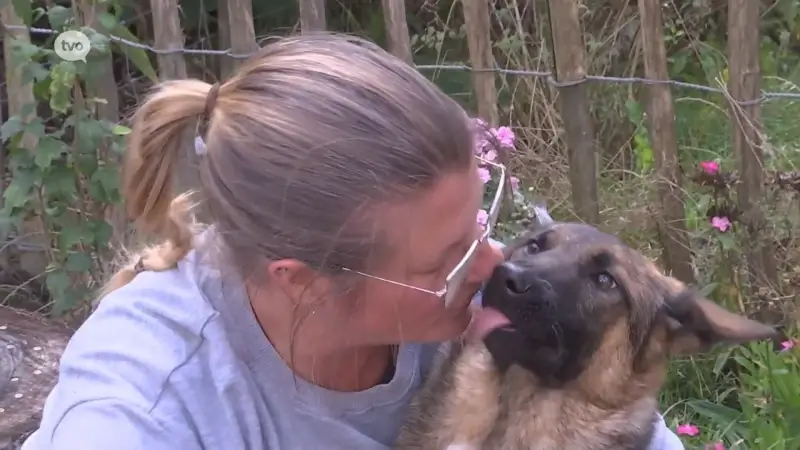 Uitgehongerde hond uit bestelwagen gegooid voor de ogen van vrijwilliger van zorgboerderij in Haasdonk