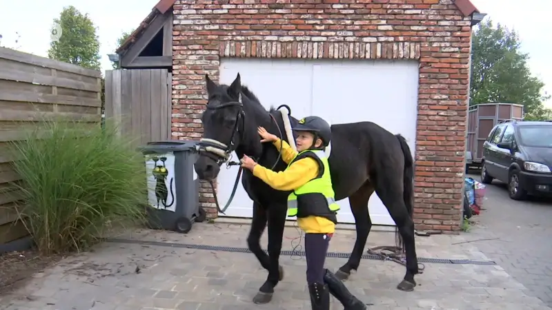 Ayline ging op deze Dag van de Sportclub met haar pony naar school in Lokeren