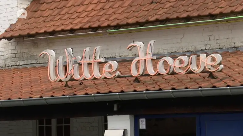 Hoofdafbeelding voor artikel Dancing Witte Hoeve moet noodgedwongen…