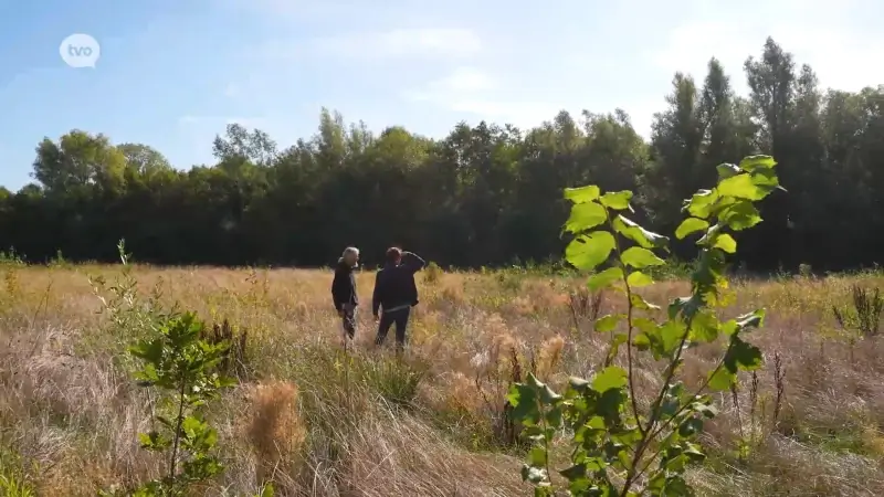 TV Provincie: Week van het Bos