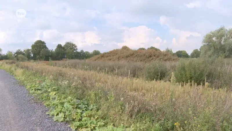 Hoofdafbeelding voor artikel Verkeershinder verwacht in…
