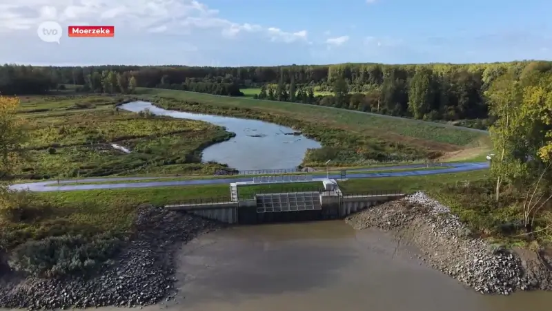 Hoofdafbeelding voor artikel Dankzij natuurreservaat Wal-Zwijn…