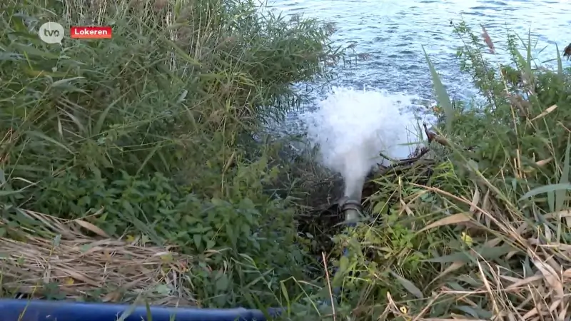 Hoofdafbeelding voor artikel Water wordt komende dagen…