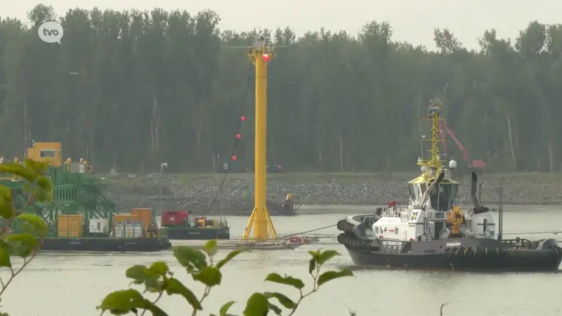 Acties loodsen zorgen voor vertraging bij het afzinken van tunnelelementen Scheldetunnel: "Schade loopt op tot in de miljoenen"