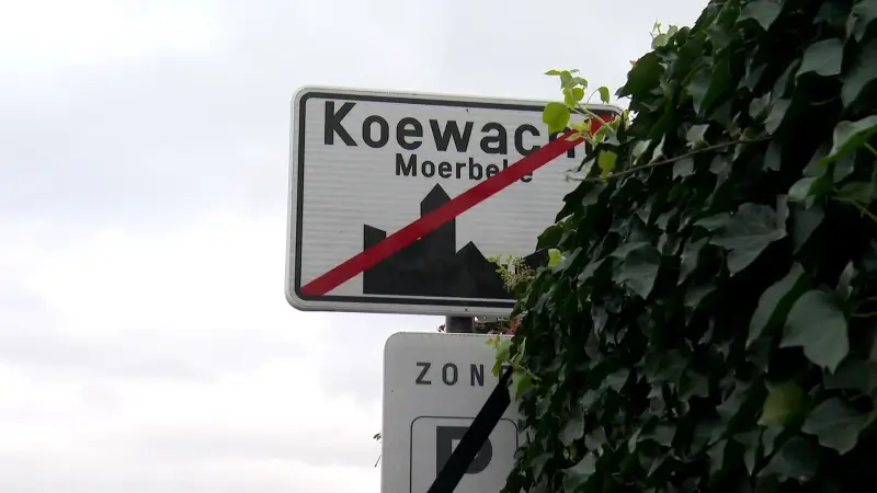 Klacht over bevraging Koewacht bij Agentschap Binnenlands Bestuur: “Regels niet correct”