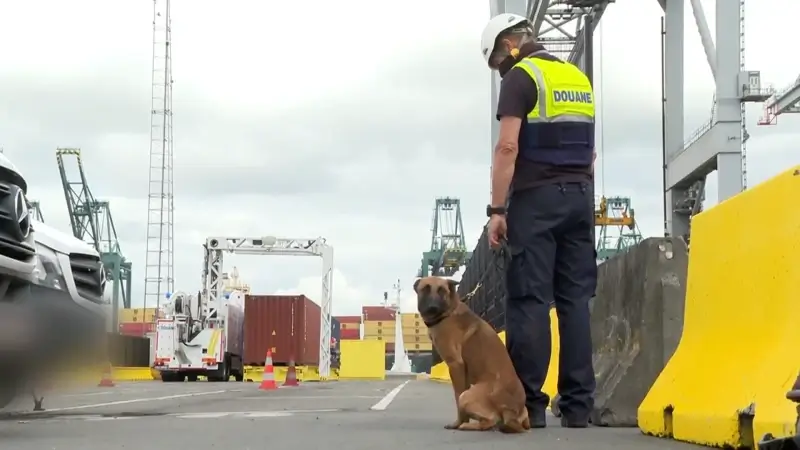 Hoofdafbeelding voor artikel Stiptheidsactie bij douane…