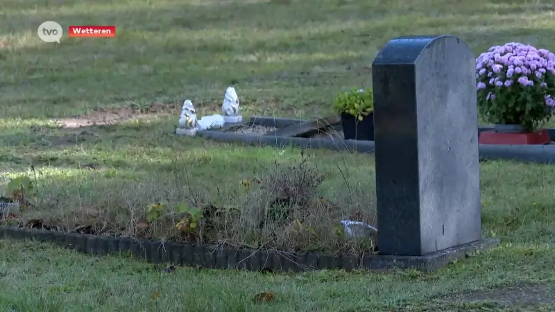 Hoofdafbeelding voor artikel Komt er een natuurbegraafplaats…