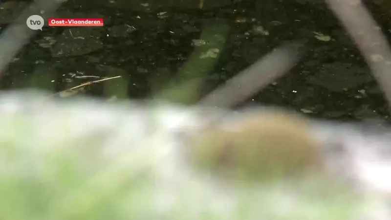 Hoofdafbeelding voor artikel Onttrekkingsverbod op onbevaarbare…